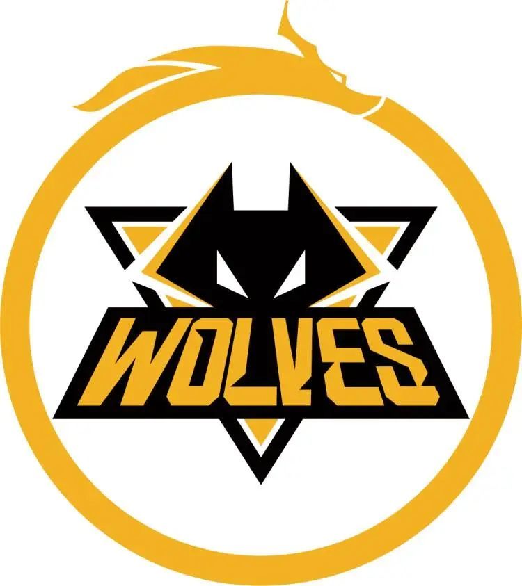 r3salt ：选手需要在RMR期间亲自设计签名贴纸