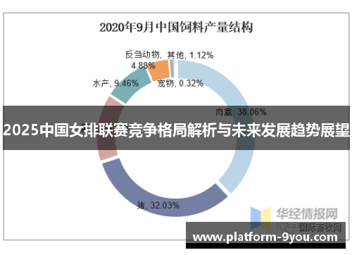 2025中国女排联赛竞争格局解析与未来发展趋势展望